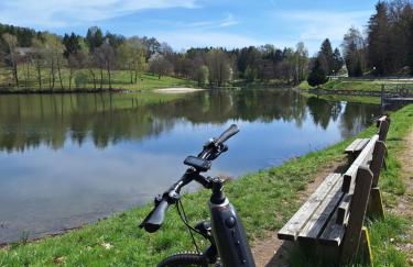 Wohlfühlapartment Erlenberg - Foto 33