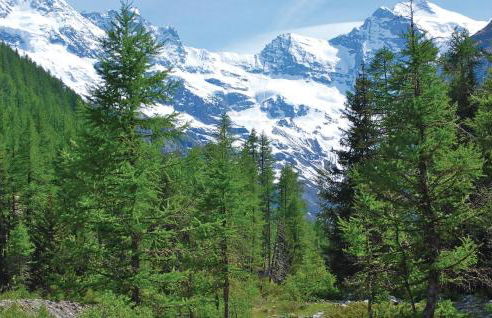 Maison Grapein - Photo 22