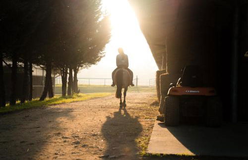 Origine Country Farm - Photo 40