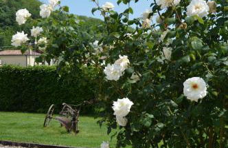 Agriturismo Morgan - Foto 22