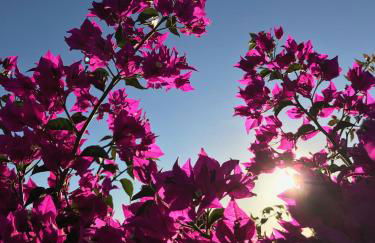 Casa Lucia - Foto 17