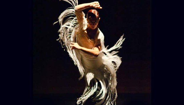 Espectáculo en el tablao flamenco Las Tablas - Foto 5, Una de las bailaoras del espectáculo flamenco