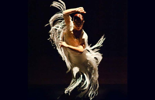 Espectáculo en el tablao flamenco Las Tablas - Foto 5