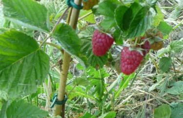 Agriturismo Mirasole - Foto 30