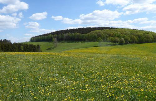 Ferienwohnungen Schimsheimer Rhode - Photo 6