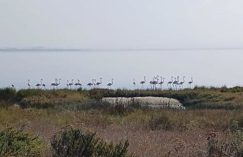 Casa da Ria 78 - Family House - Photo 27