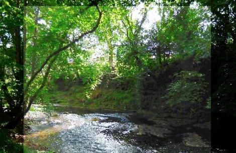 The Old Mill Annexe - Foto 59