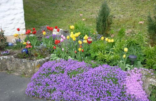 Ferienwohnung Lang am Radweg - Foto 13