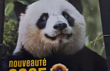 la villa des hortensias - Foto 15