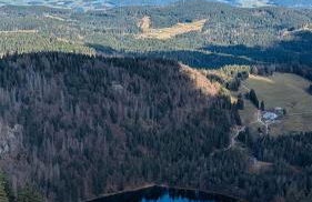 Stecher's Hüsli - Foto 34