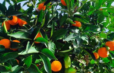 Holiday home Mennulita - Foto 67