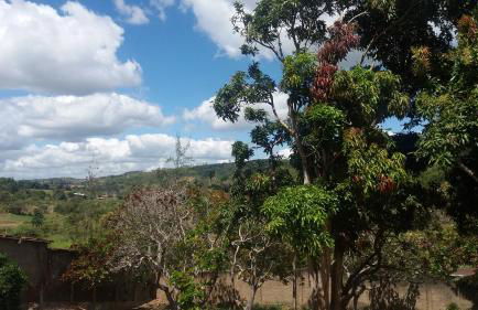 Refúgio na Serra - Photo 29