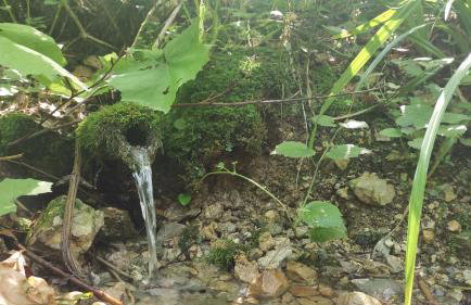 Apartment Barbara - Foto 17