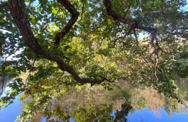 El Rincón del Marqués - Photo 16