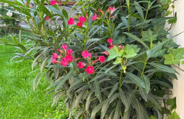 Südfrankreich bei Berlin - Photo 21