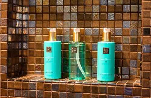 THE miniPENTHOUSE terrace & SPA - Foto 44