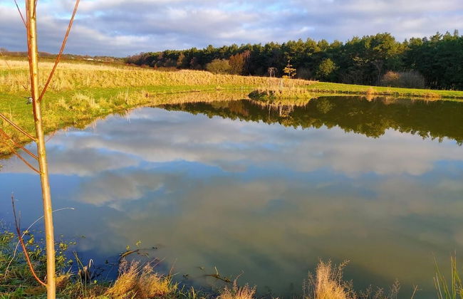 Middlehead Huts at Cropton Forest - Foto 10