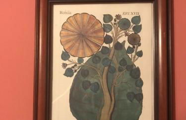 Masia MATUTANO - Foto 17