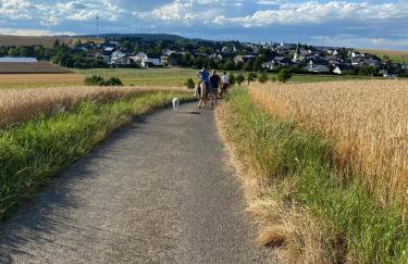 Landhof Lieg - Tierische Auszeit in unseren gemütlichen Ferienwohnungen - Foto 39
