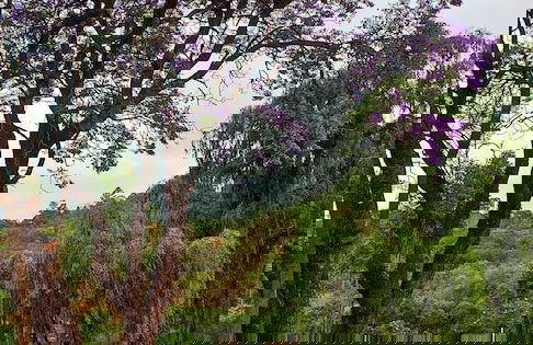 Natal Spa Hot Springs Self Catering - Photo 57