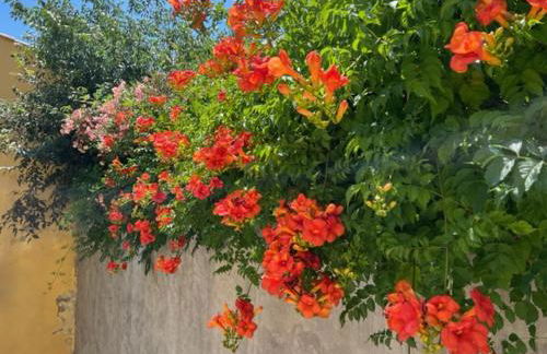 Mas de silvacane - Foto 5