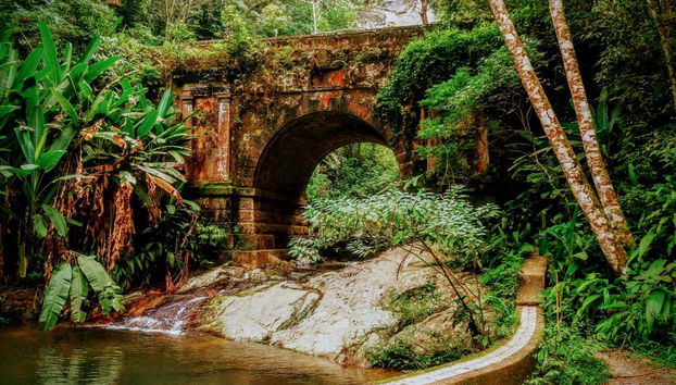 Rio de Janeiro National Parks Tour - Foto 4