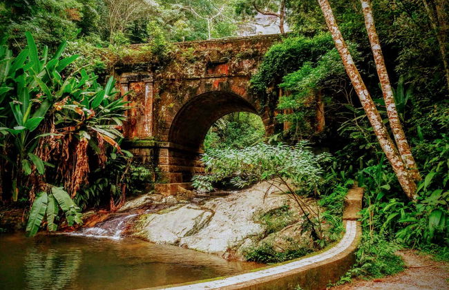 Rio de Janeiro National Parks Tour - Foto 4