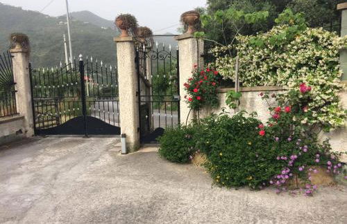 Villafiorita - Foto 29