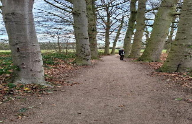 Villa in Nijmegen With VIP Amenities - Foto 24