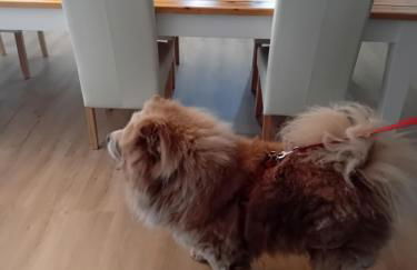 Meteora Grande luxury suite & spa villa - Foto 22