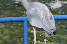 Ferienhaus Kiara - Foto 18