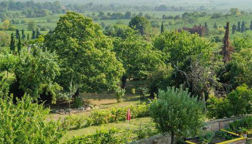 Haus Storck - Foto 2