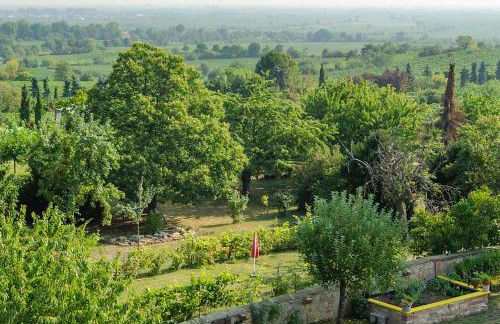 Haus Storck - Foto 2