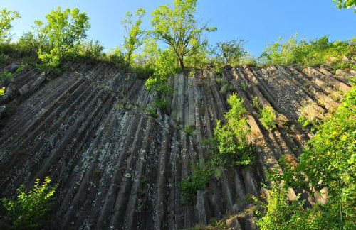 Gite Le Chalet SaintAnthème / Prabouré - Foto 53