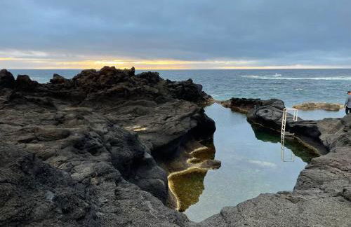 House in Ponta Garça - Photo 4