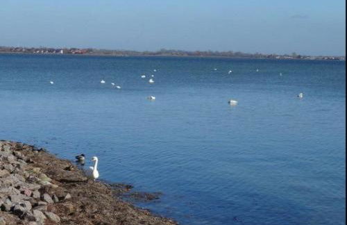 Yachthafen in Orth - Foto 9