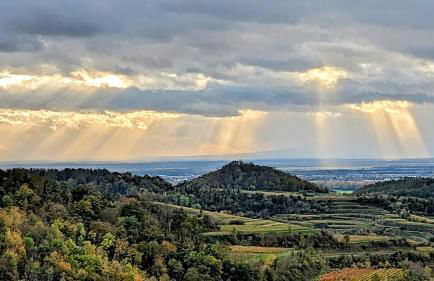 Ferienwohnung Angie - Foto 13
