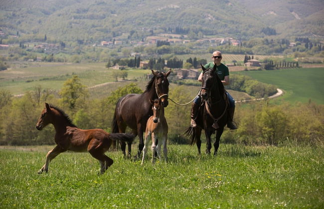 Poggiovalle Tenuta Italiana - Foto 29