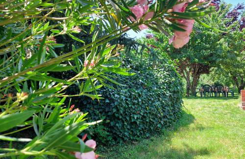 Puente Canto de Gredos - Photo 12