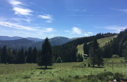 Le petit Kichon - Foto 24