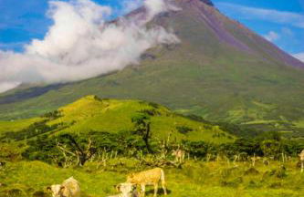 Casa da Baía da Manhenha - Photo 3