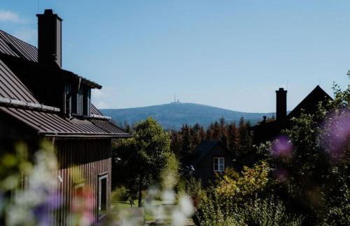Ferienhäuser im Torfhaus Harzresort, Torfhaus - Foto 32