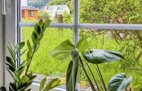 Nice Apartment In Bad Schandau- Kleing - Foto 6