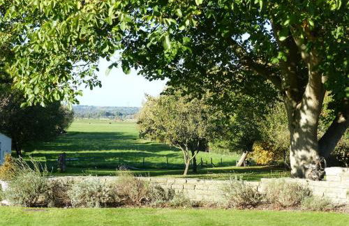 Littlemead - Newly renovated private studio near Glastonbury - Foto 16