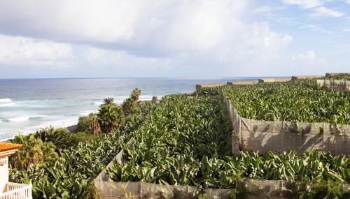 TenoHomes Casa Ela, Charming Stay Garachico - Foto 5