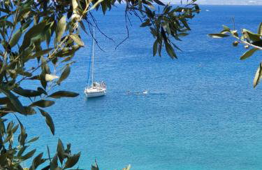 Cape Kitries - Photo 89