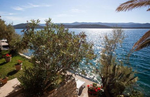 Apartmani Nikoletić - Photo 49