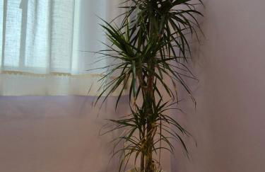 Il sogno degli angeli - Foto 30