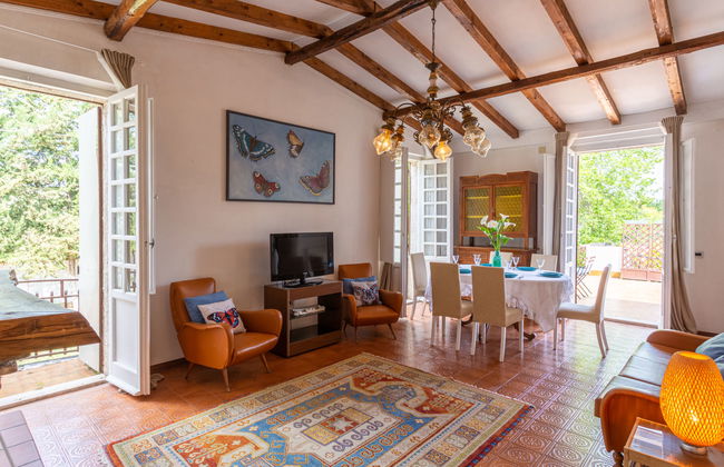 Bouganville - Foto 4