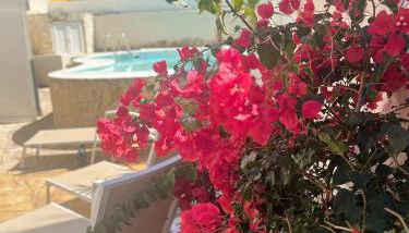 Hidden Paradise - Foto 2, sunbed